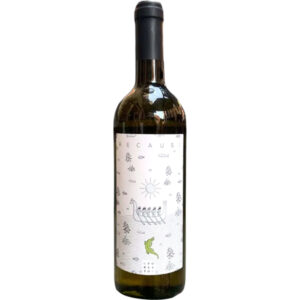 Recausi_vigneti_vallorani_superstart.jpg(1) Recausi_vigneti_vallorani_superstart.jpg(1)